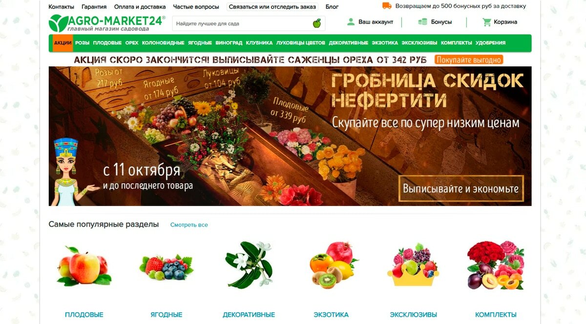 Agromarket24 - саженцы, семена, удобрения, луковицы, рассада почтой в России от магазина